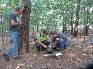 IMG_0768