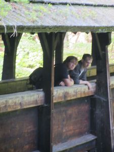IMG_2369
