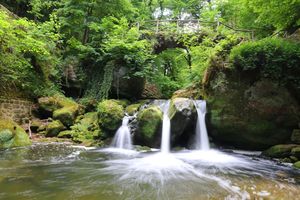 IMG_2922