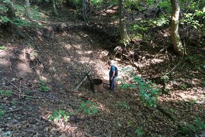IMG_3400