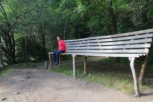 IMG_3517