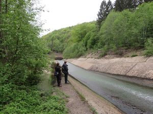 IMG_3939