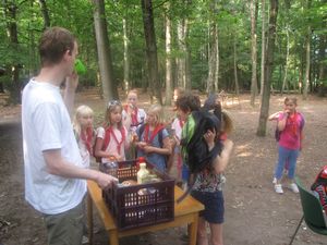 IMG_8081